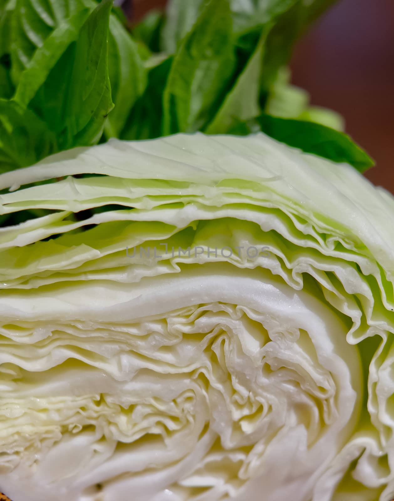 Green salad cabbage. Side dishes for Northeast food in Thailand.