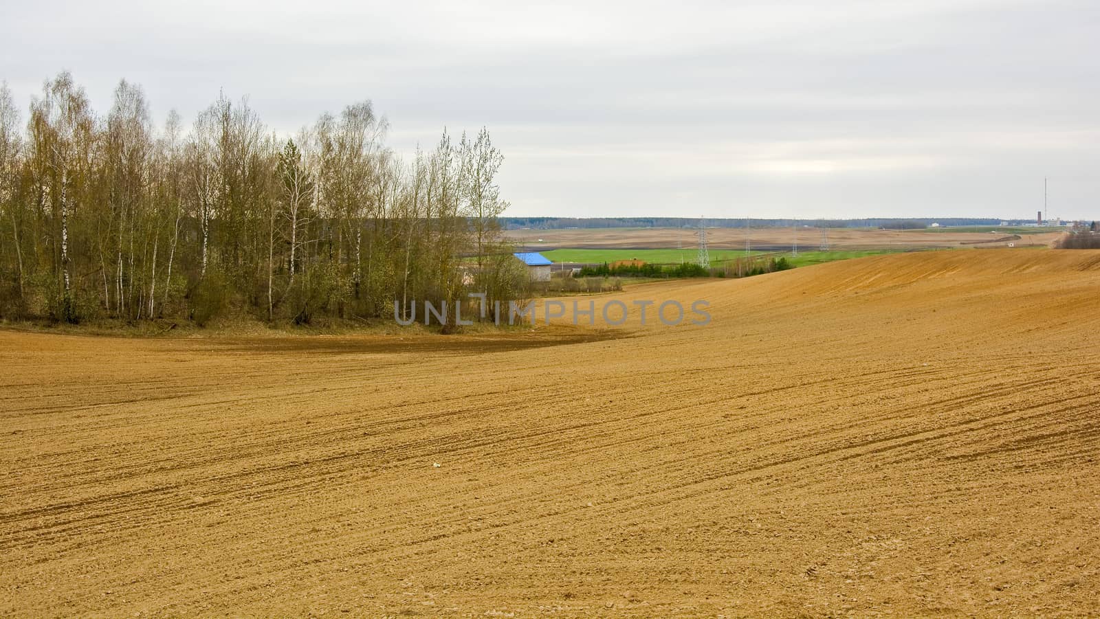 Plowed field and edge of the forest by Grommik