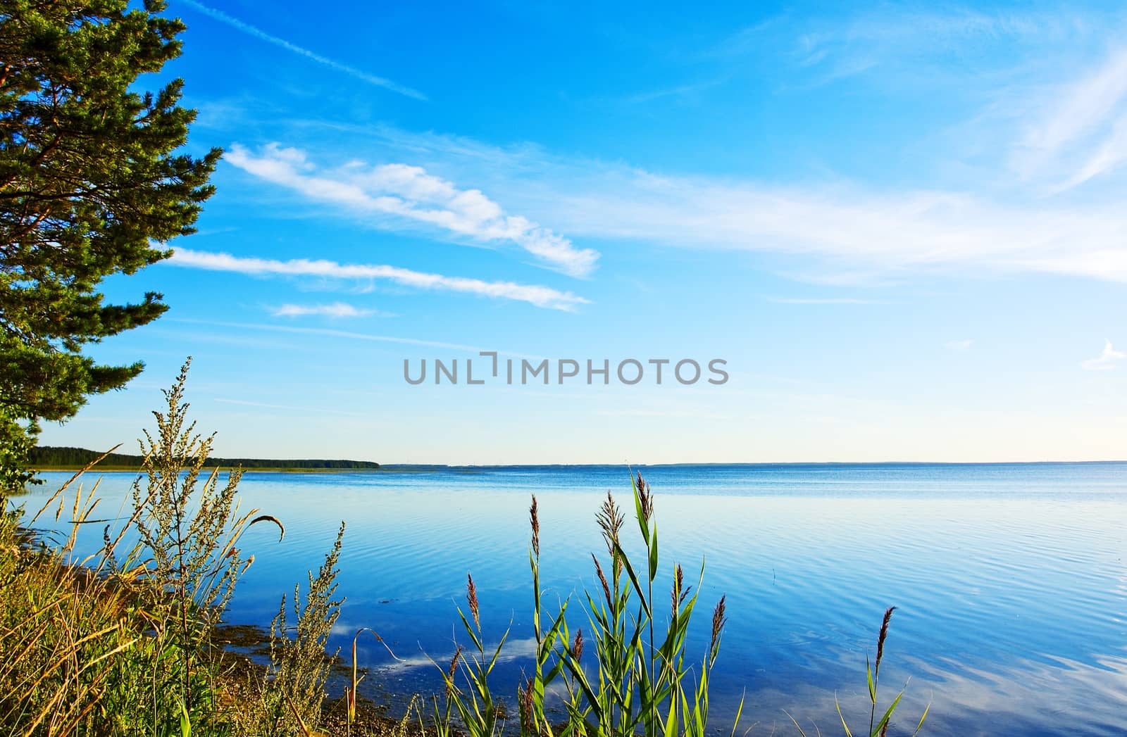 blue lake and a blue sky with cirrus clouds