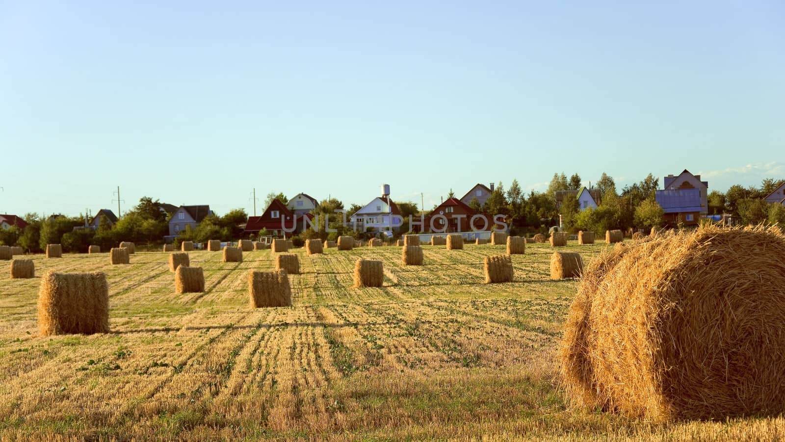 Straw bales collected in