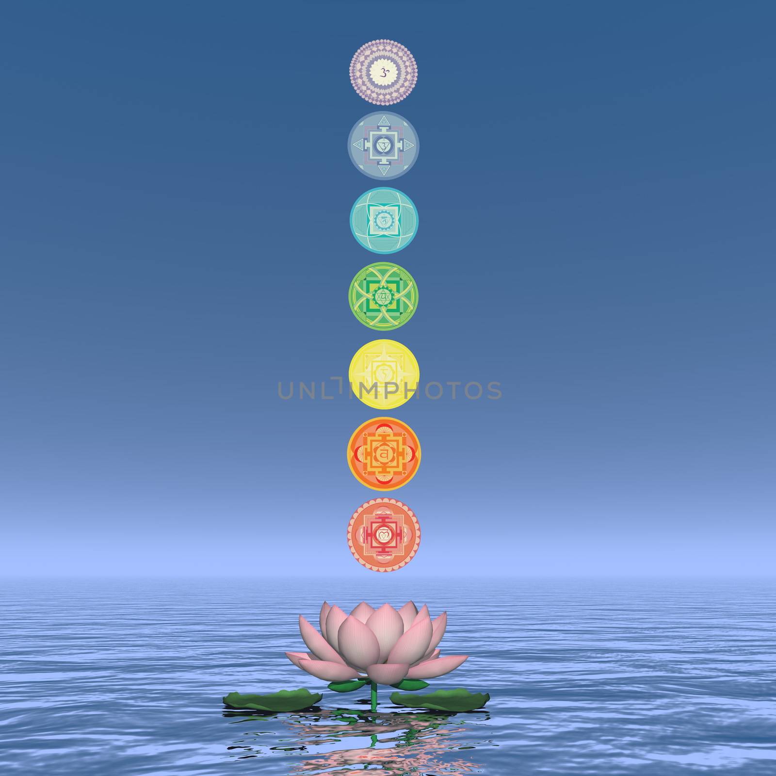 Seven chakra symbols column upon one lotus flower and water in blue background - 3D render