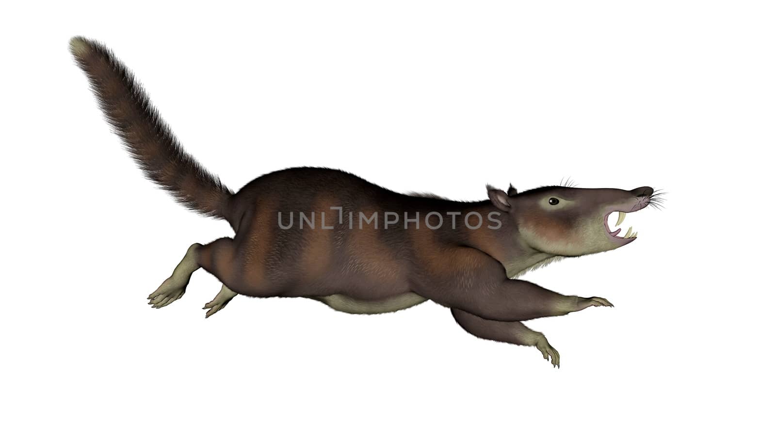 Cronopio dentiacutus, prehistoric mammal - 3D render by Elenaphotos21