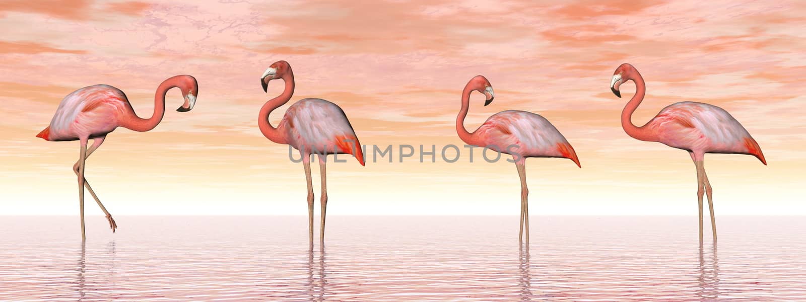 Four pink flamingos standing in water by sunset light - 3D render
