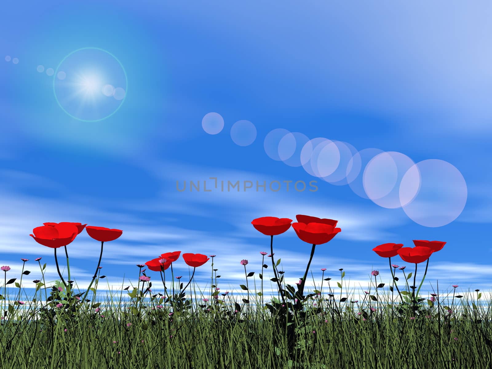 Poppies in the grass by beautiful day with sun - 3D render