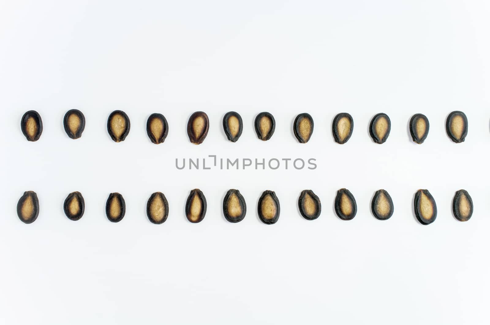 Watermelon seeds on white background by koson