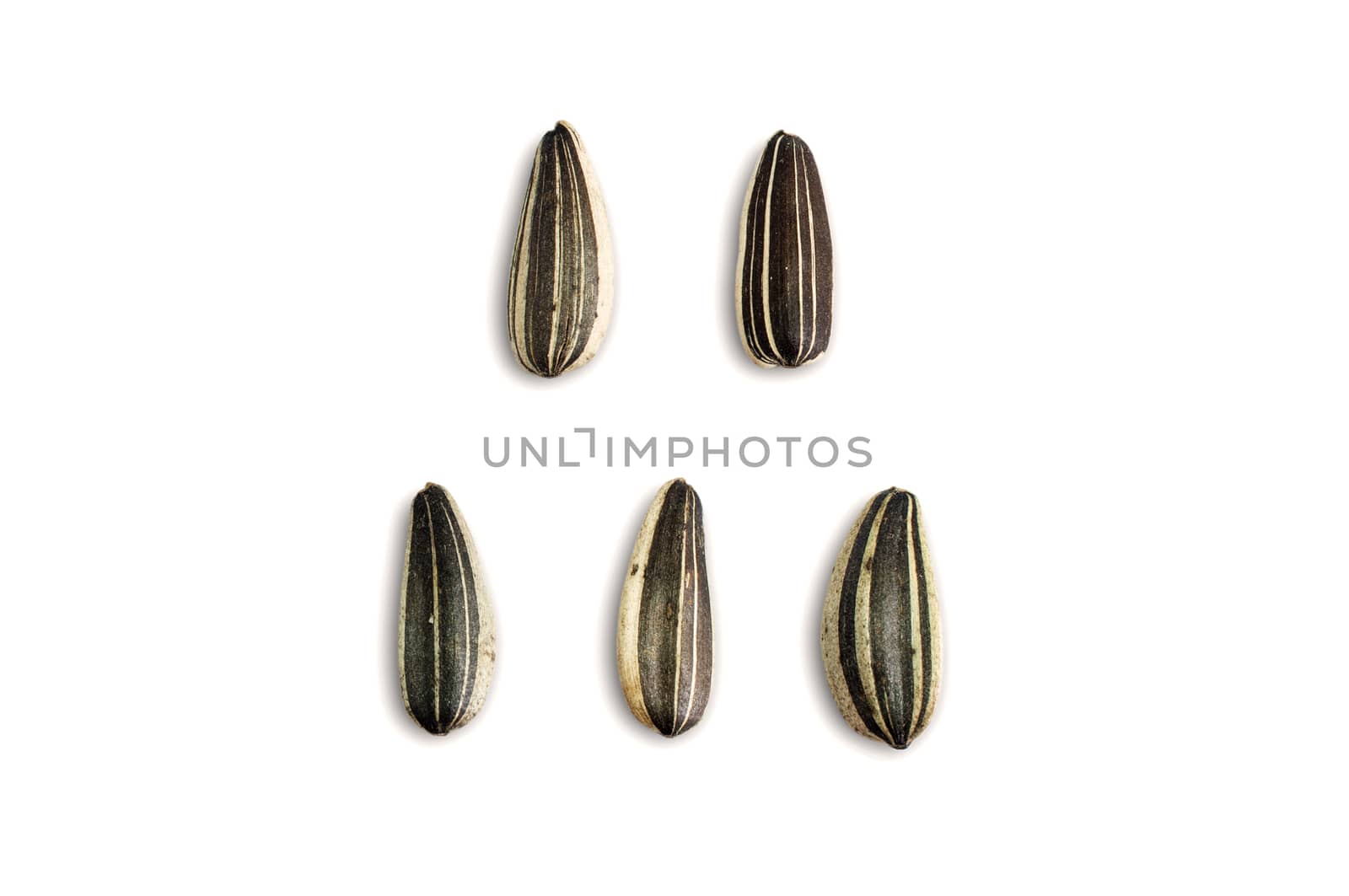 Close up Sunflower seeds on white background.