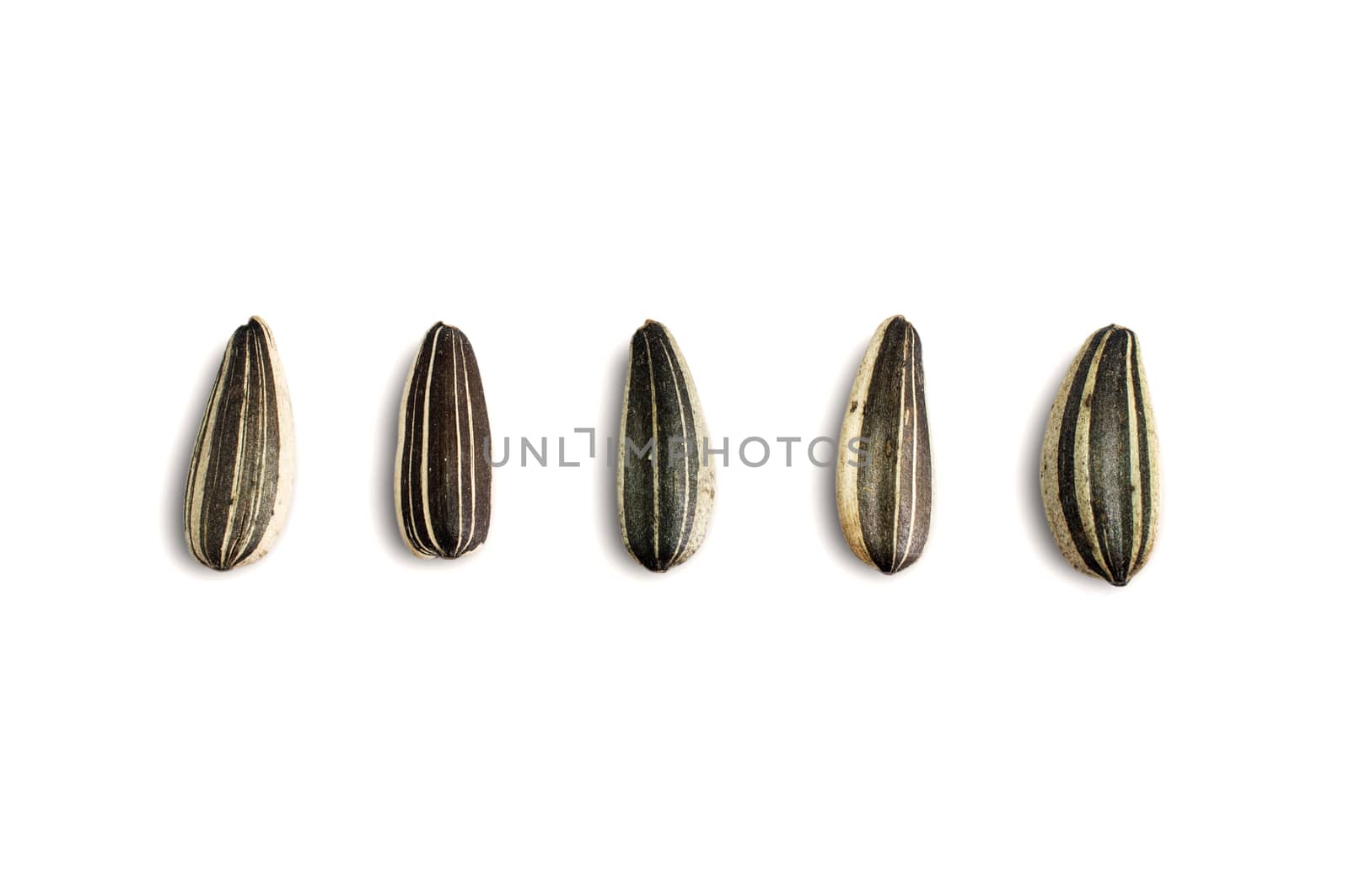 Close up Sunflower seeds on white background.