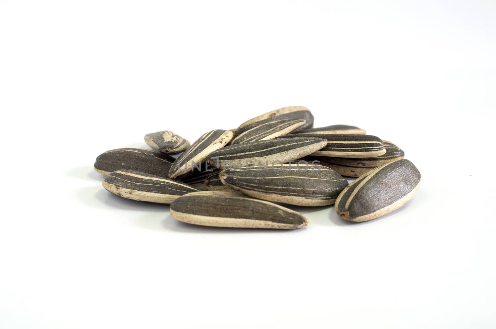 Close up Sunflower seeds on white background.