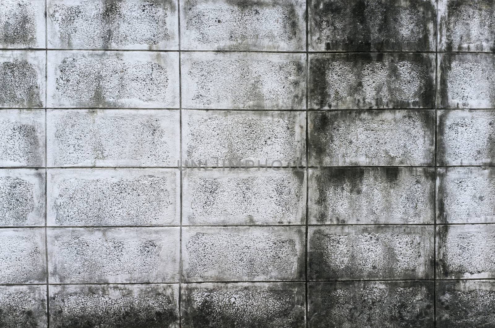 Old concrete wall by koson