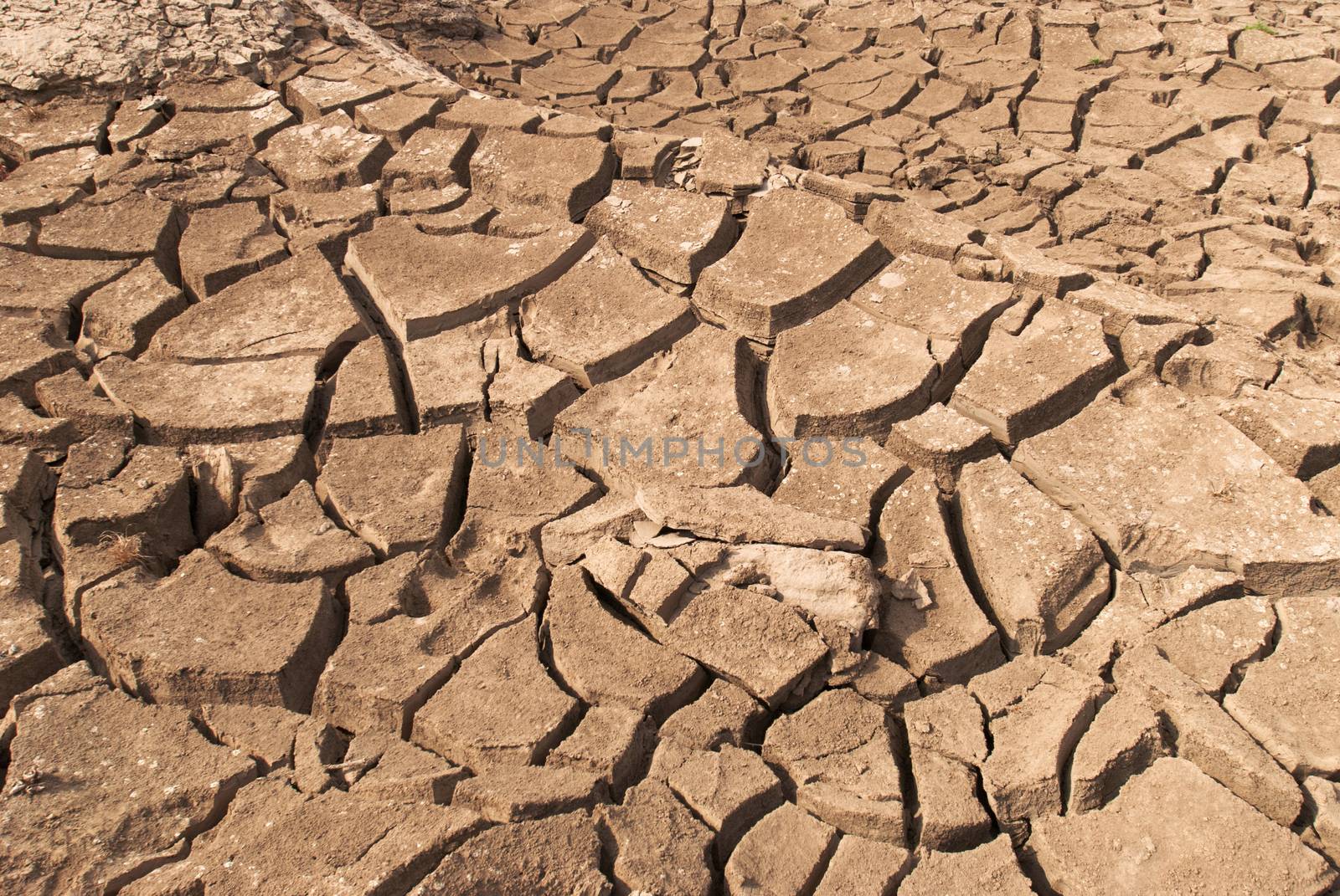 Cracked dry land without water