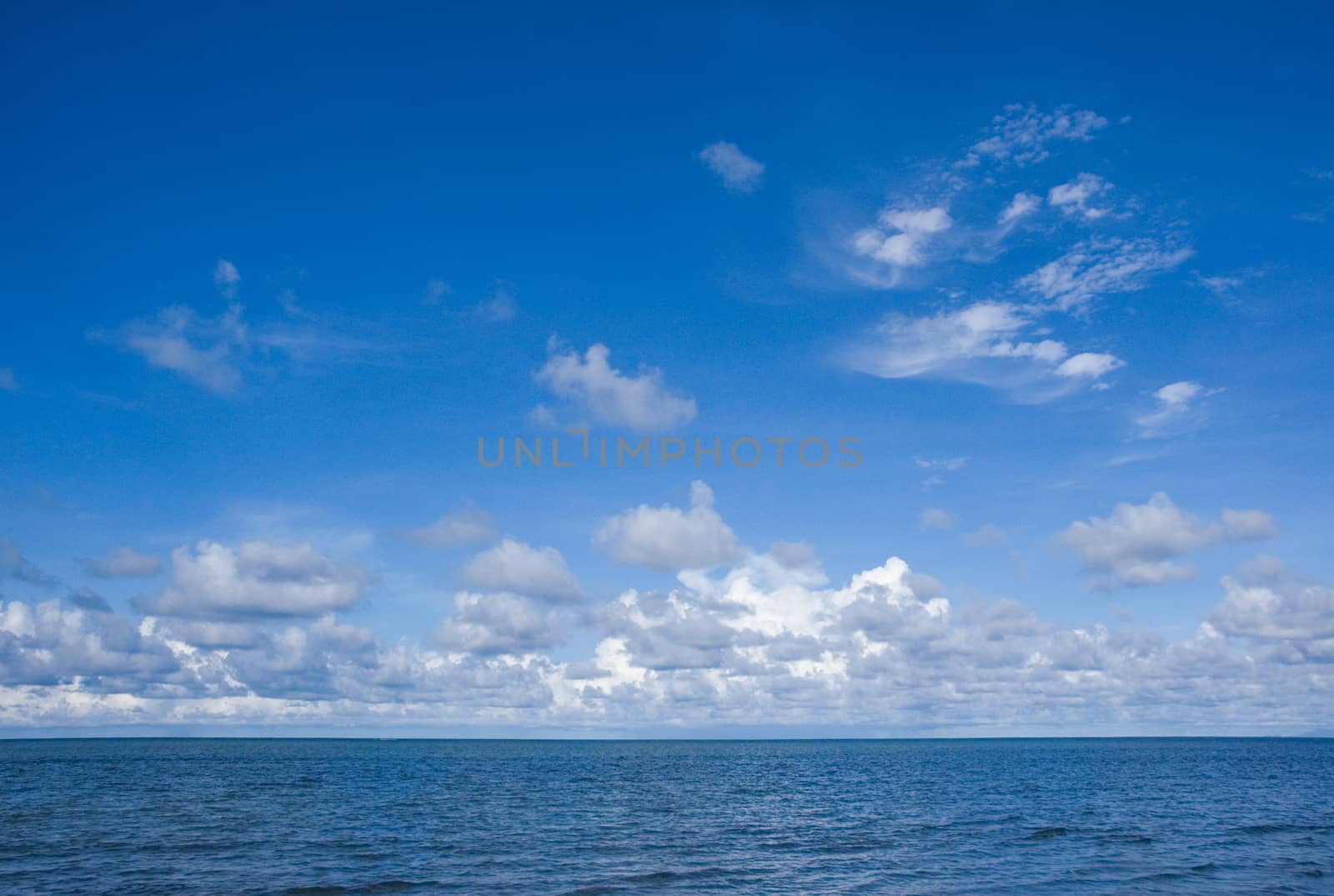 beach and tropical sea