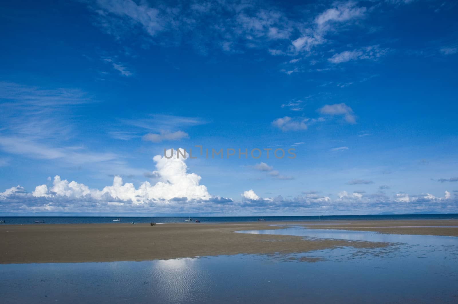 beach and tropical sea