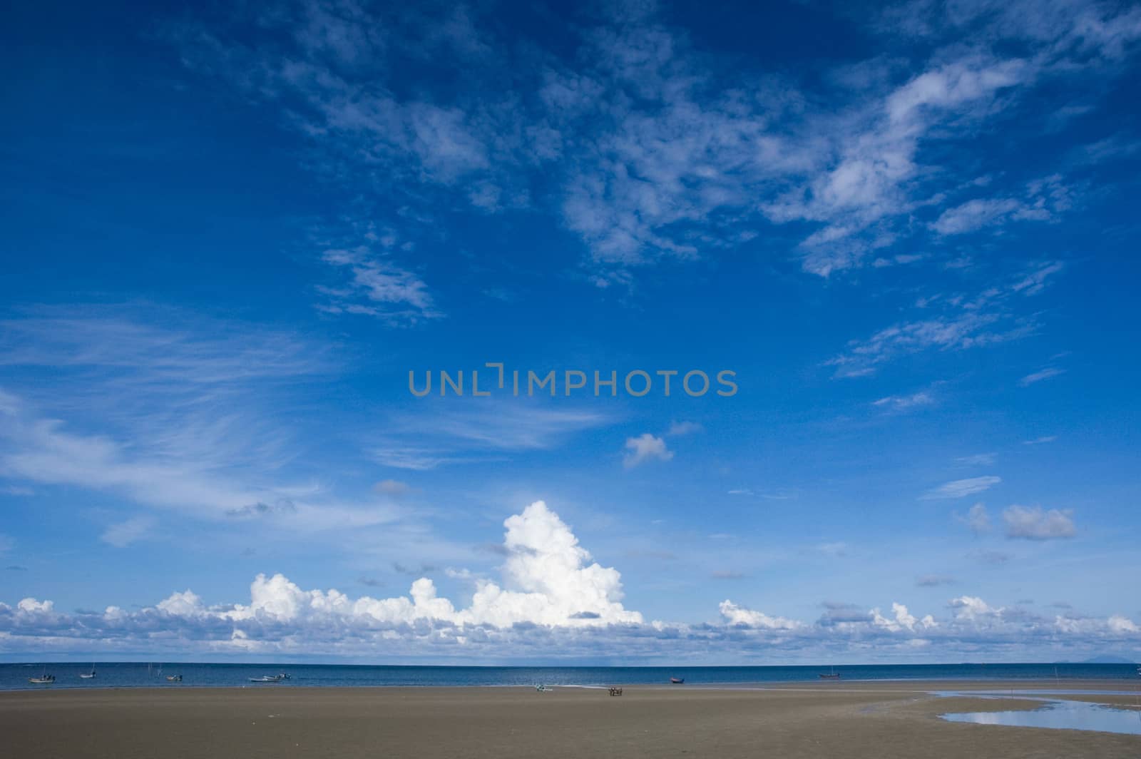 beach and tropical sea