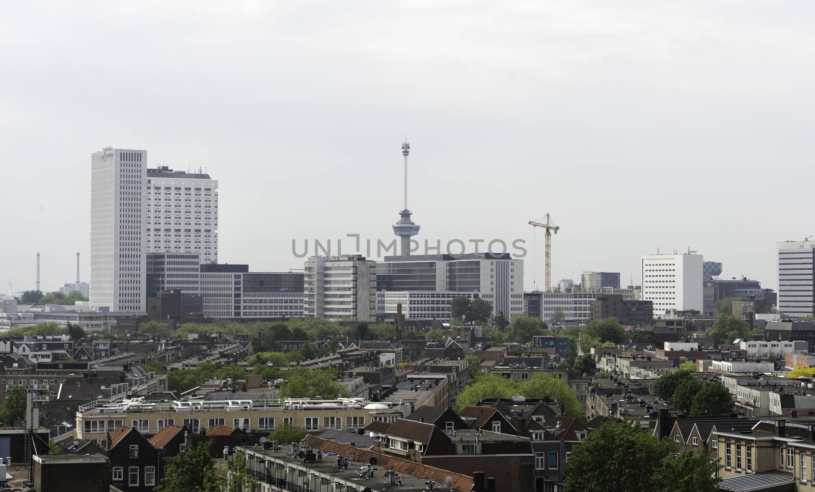 skyline of rotterdam city in Holland with the euromast and other architecture 