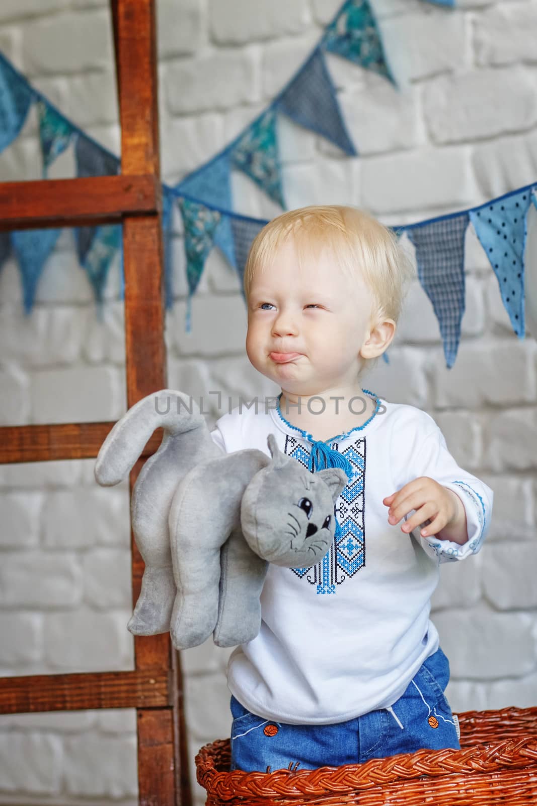 Portrait of a funny little boy with a toy kitten by natazhekova