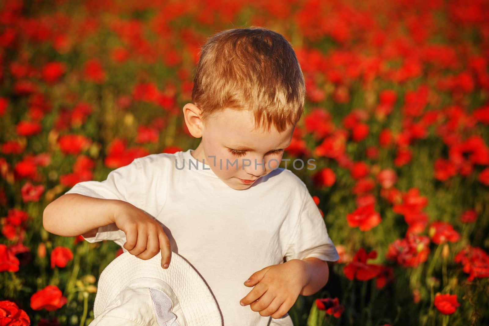 Cute little boy with poppy flower on poppy field on hot summer day
