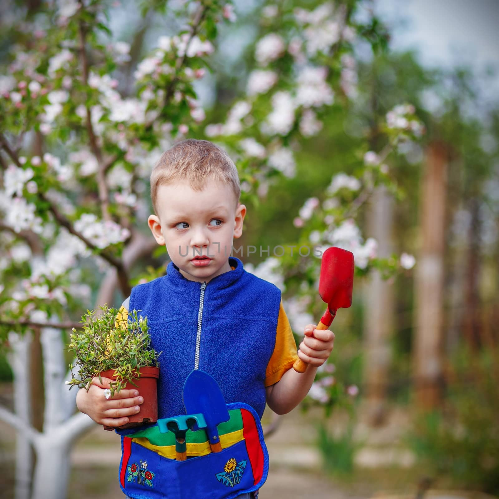 Handsome little blond boy planting and gardening flowers in garden or farm in spring day