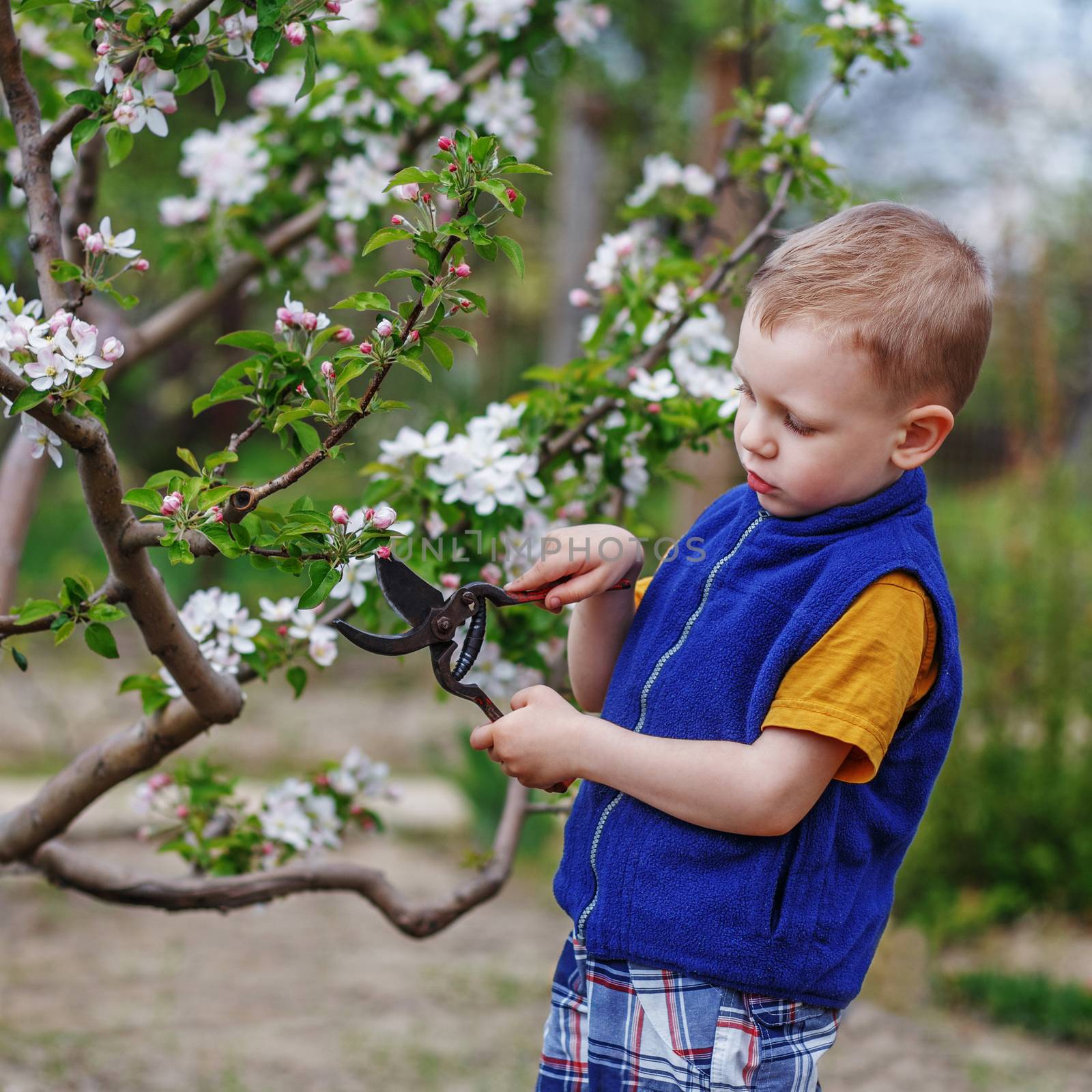 Beautiful blond little boy working in the spring garden