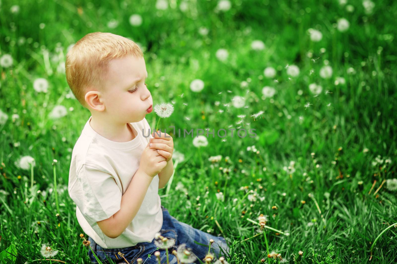 Adorable little boy blowing on a dandelion on a green spring mea by natazhekova