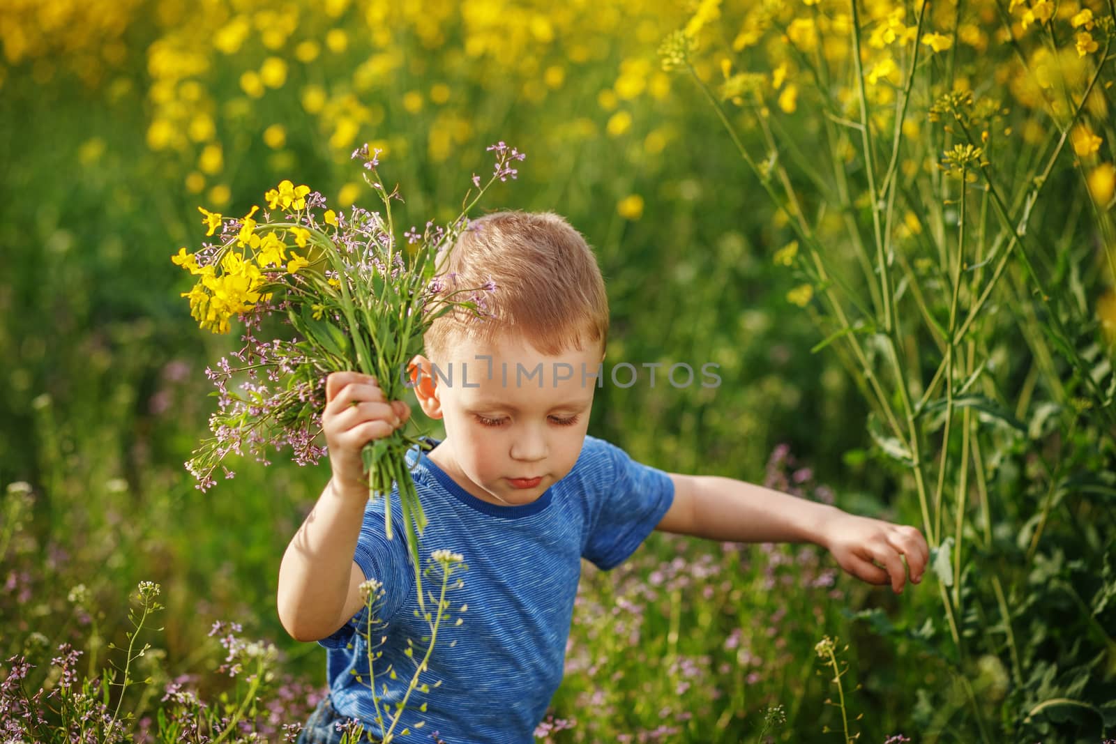 Cute blonde little boy running with a bouquet of flowers on a yellow meadow