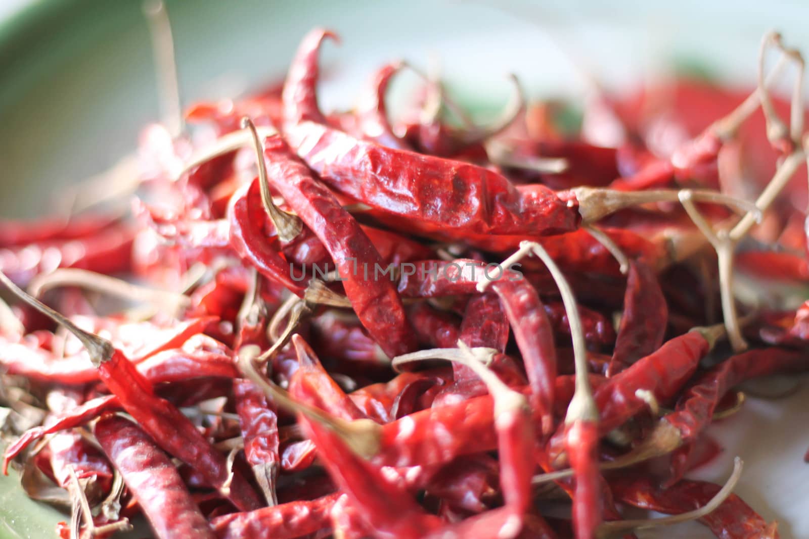 dried red chili pepper background by primzrider