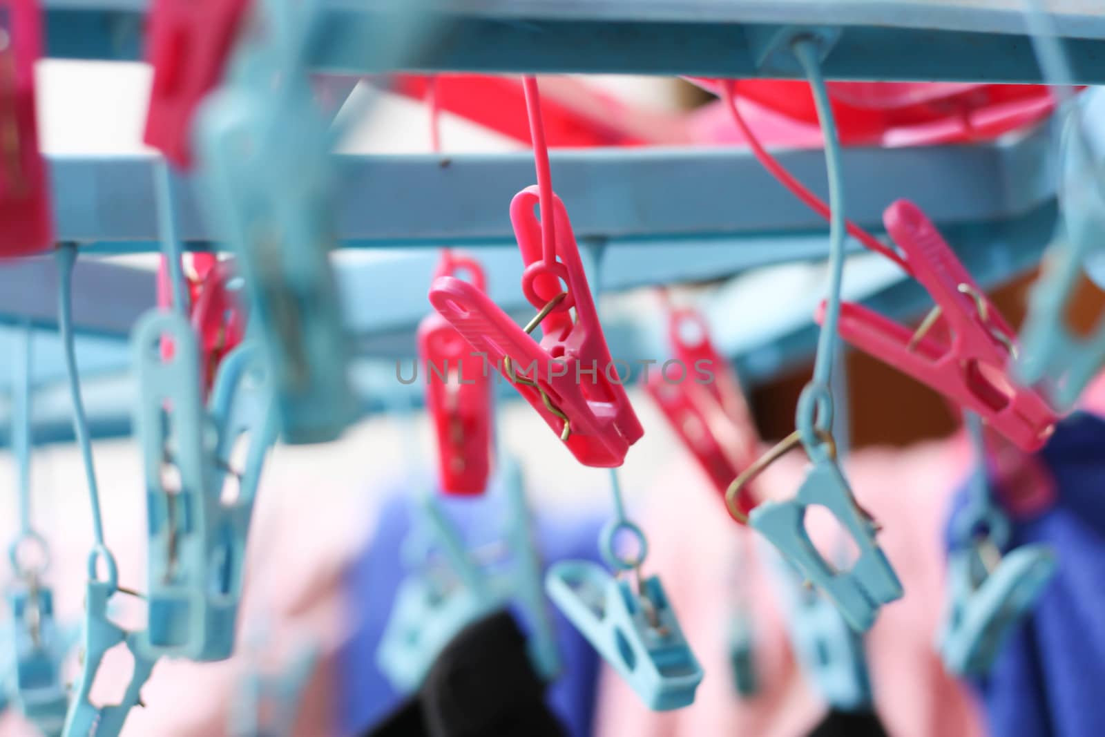 Pink clothespin  Many on the clothes line by primzrider