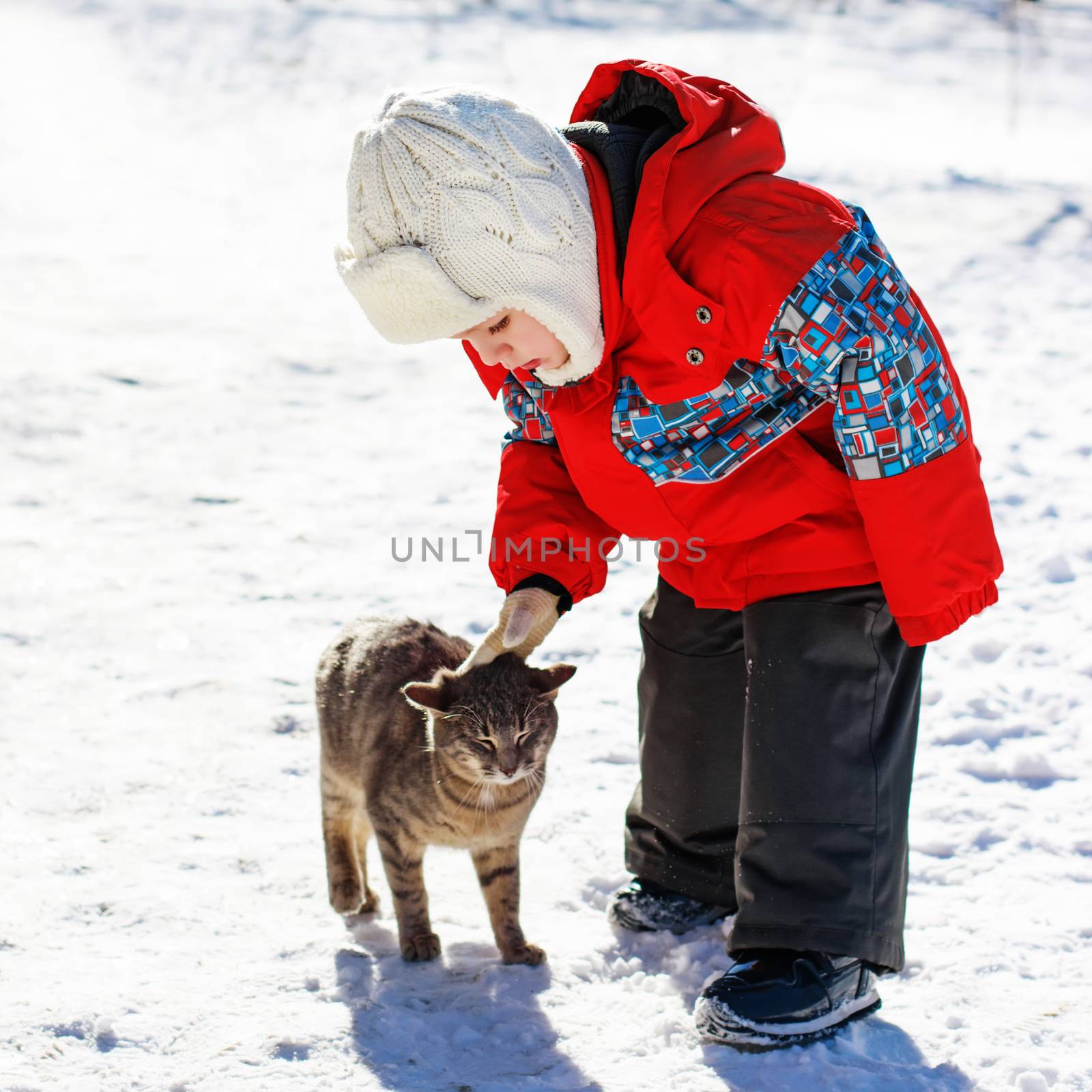 Little boy playing with cat outdoors in winter by natazhekova