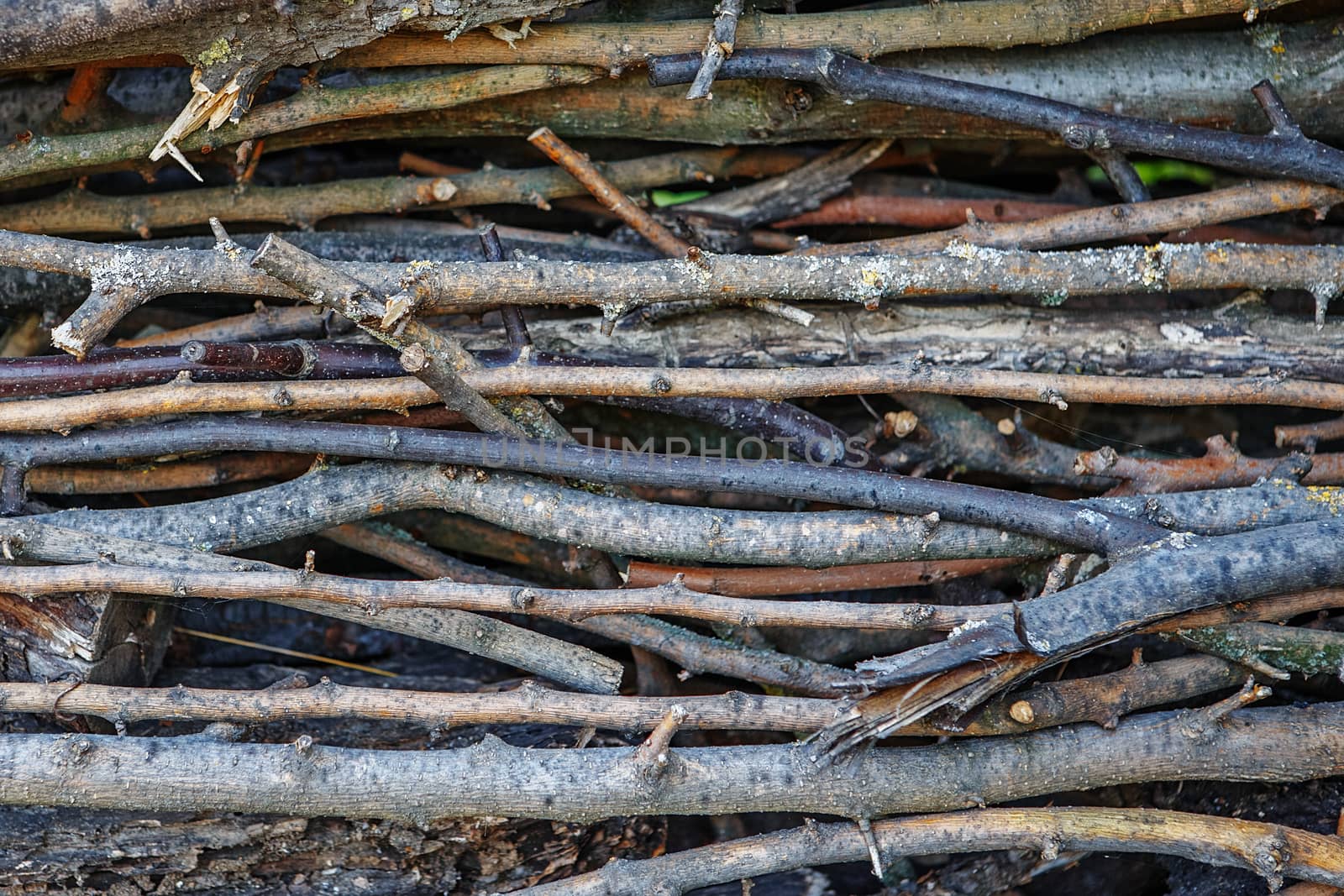 Twig background texture