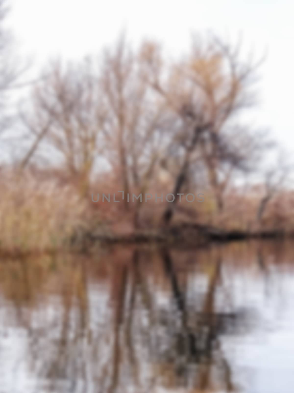 Landscape with river. Bare trees on river bank reflected in water. Row of trees reflected in water. Late autumn on the river, blured