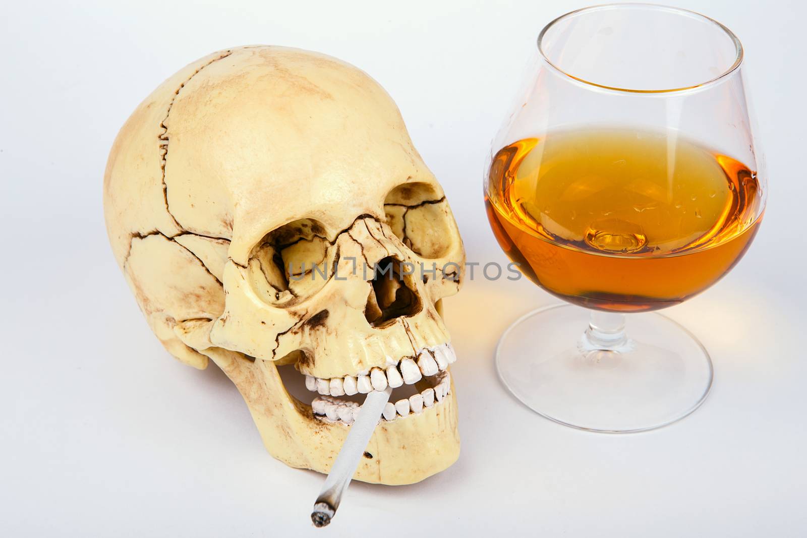Human skull head with cigarettes and alcohol on white background. Smoking kills. Alcohol kills