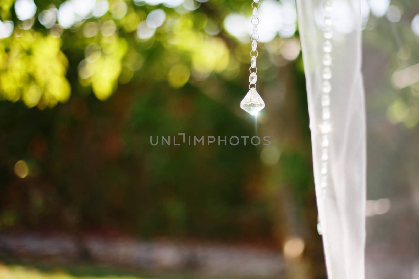 Bokeh green nature background.