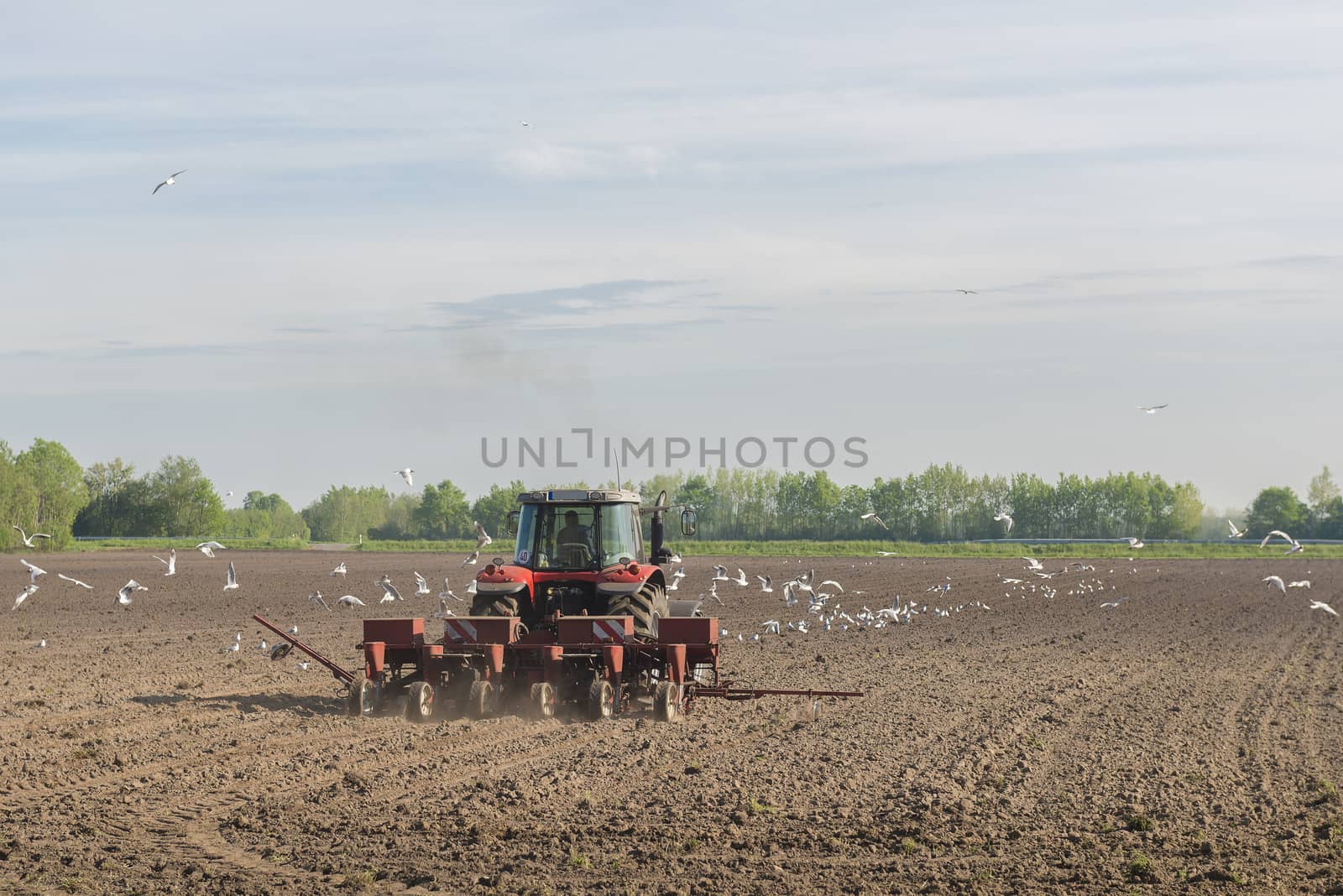 Red tractor ploughing on the arable land by Tofotografie