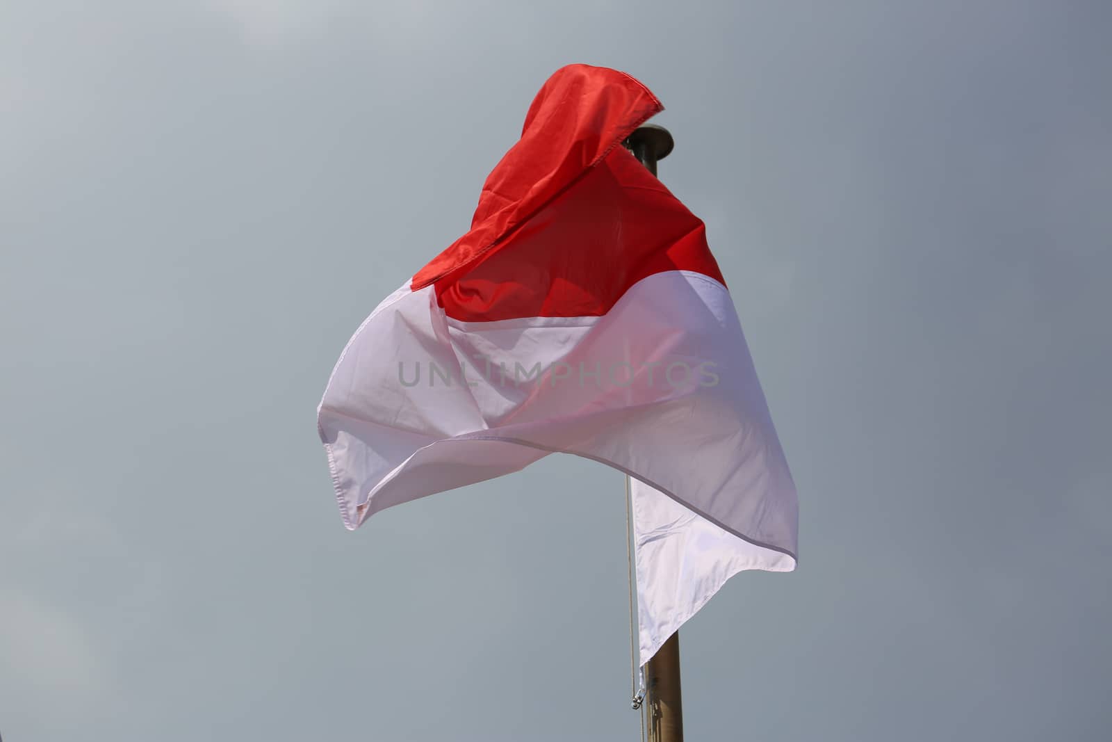 Monaco Waving Flag Against Blue Sky 