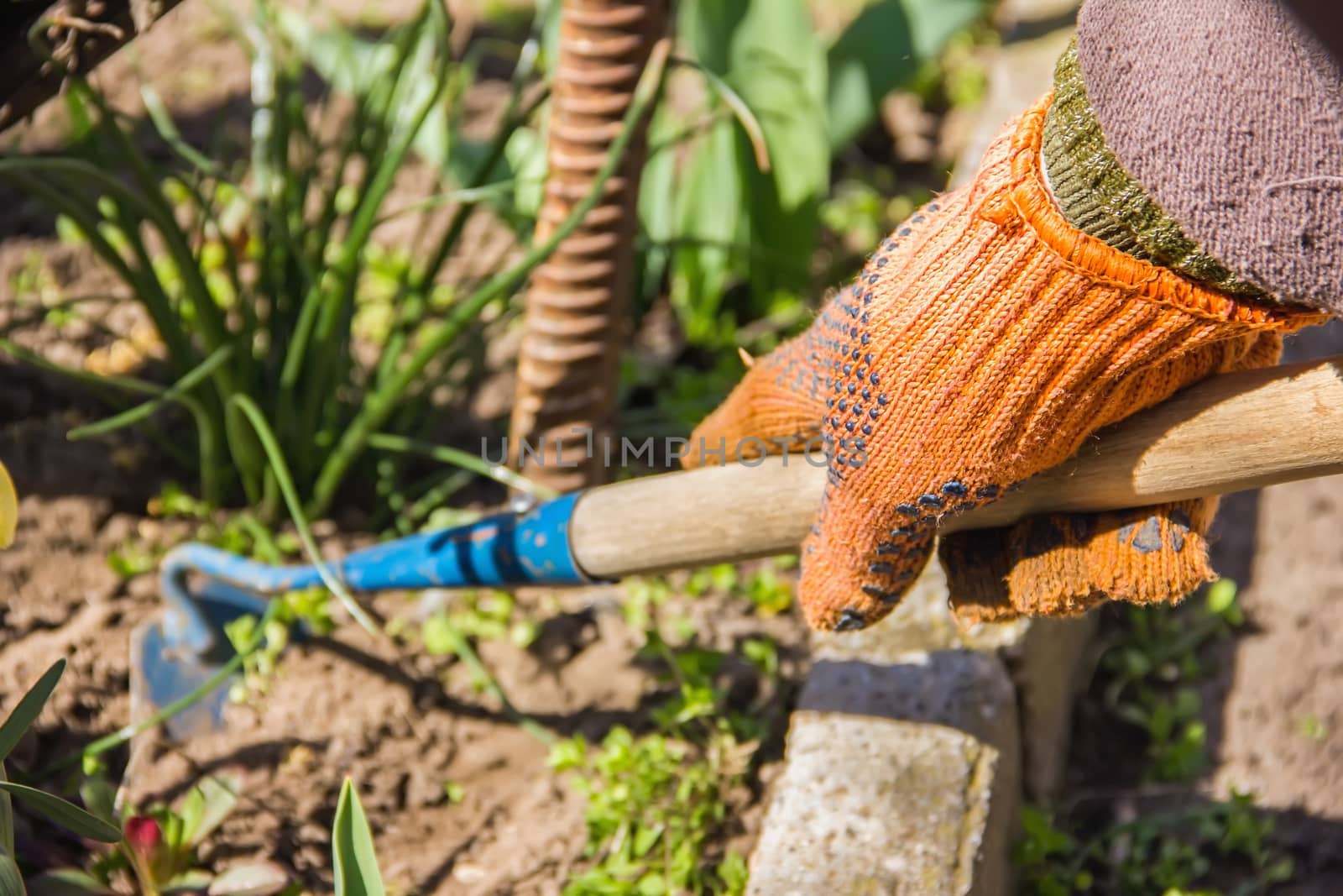 view of a woman's hand hoeing weeds in the garden on a hot summer day, weeding grass, garden and cleaning work in the garden in the spring soil preparation