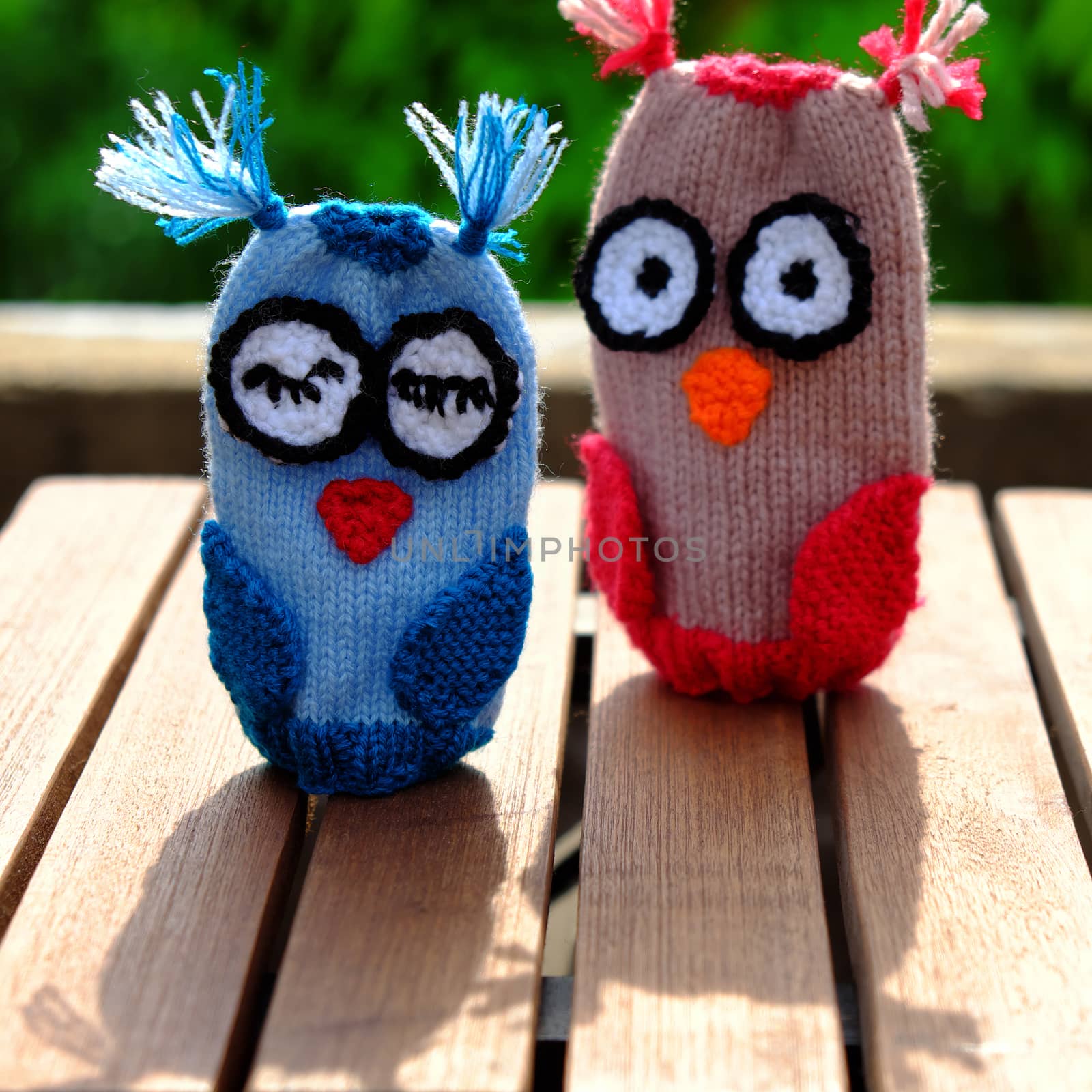 Hand puppets for children day, colorful owl puppet knit from yarn, diy toy on outdoor green background