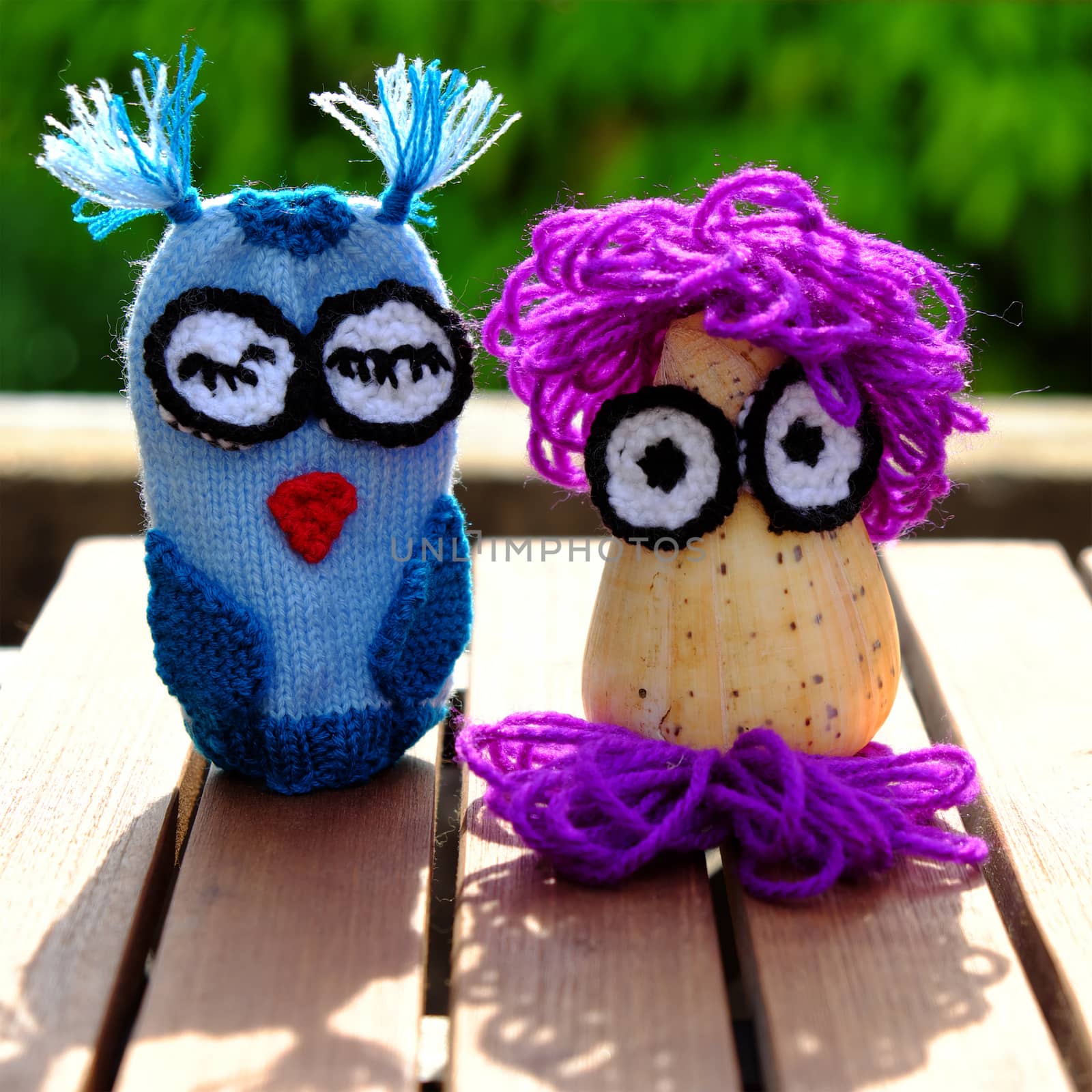 colorful owls puppet knit from yarn, owl make from conch shell, diy toy, funny creative on outdoor green background 
