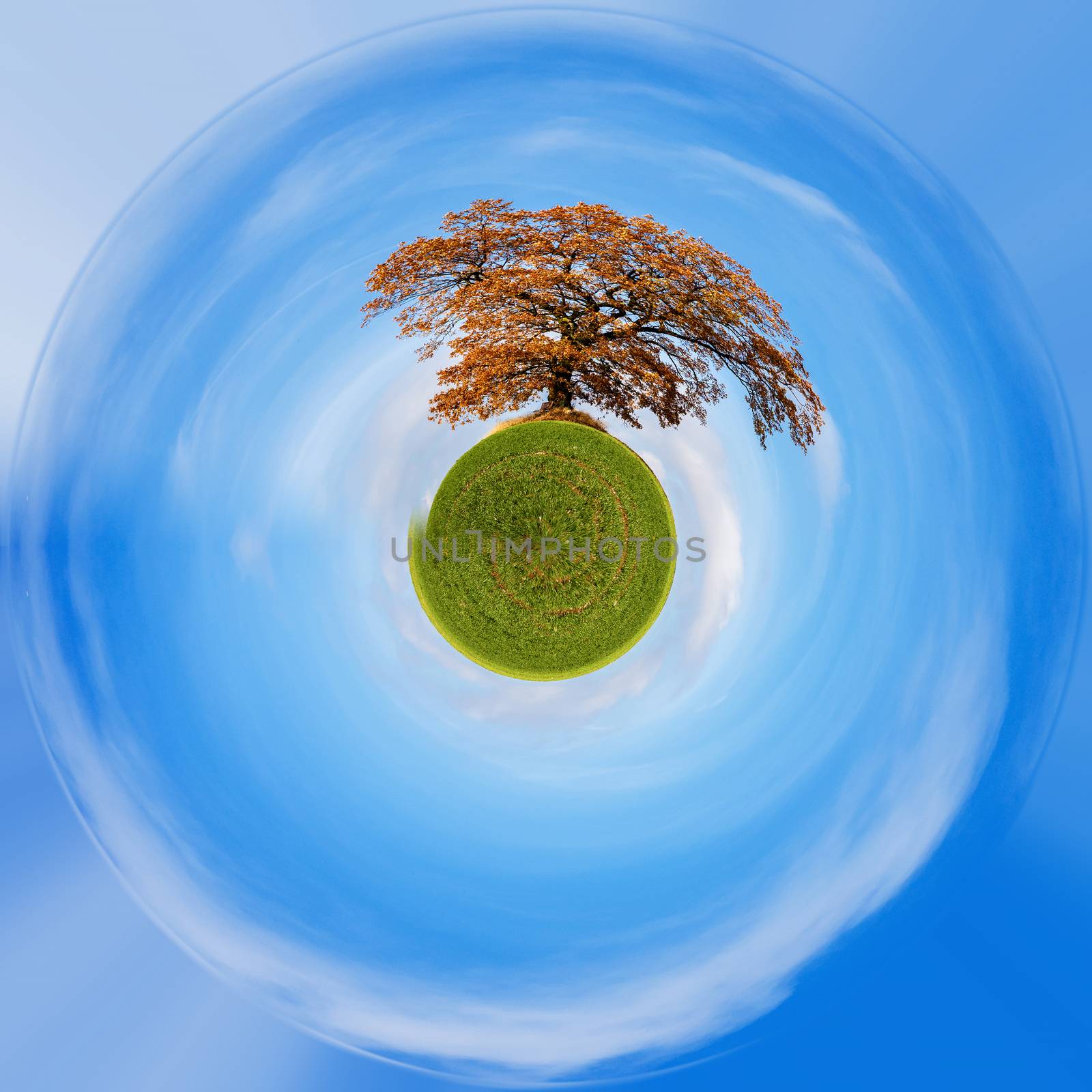 Planet of alone orange autumn tree on a green meadow and blue sky with clouds. Little planet with green grass, ecology concept. Tiny green planet projection