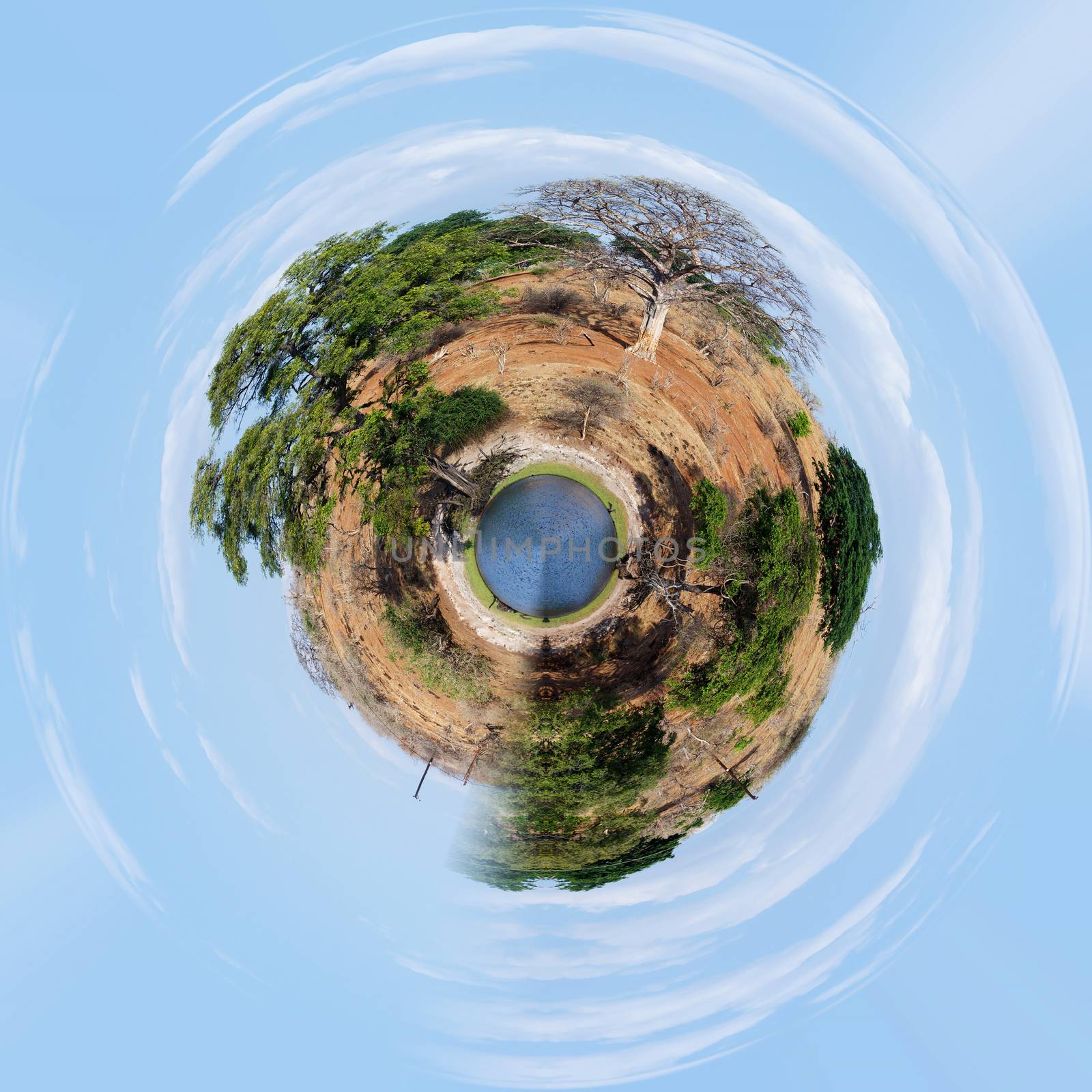 little planet of Chobe river in Botswana, Little planet with africa landscape, ecology concept. Tiny green projection. Save Africa ecology concept.
