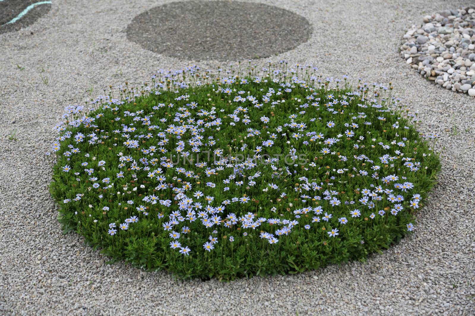 Flowers exposed on Floraart, 49 international garden exhibition in Zagreb, Croatia, on May 30, 2014.