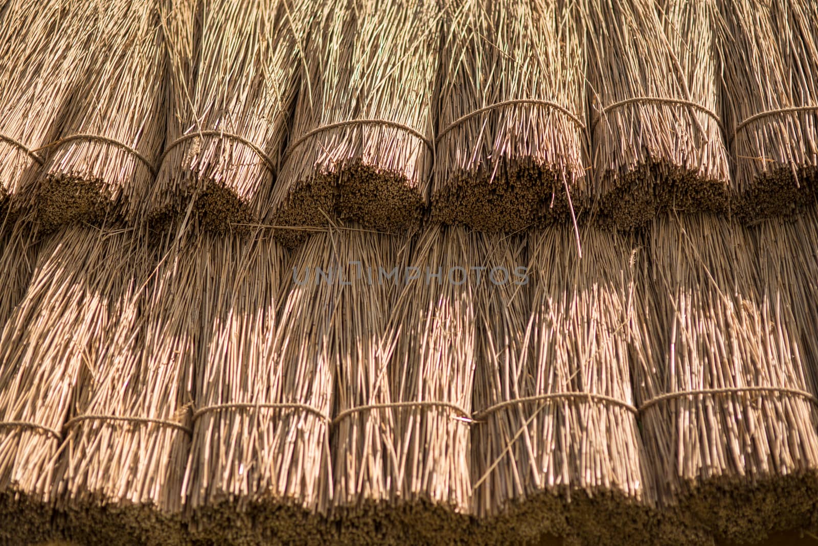 Close up straw background. Texture of thatch roof by skrotov