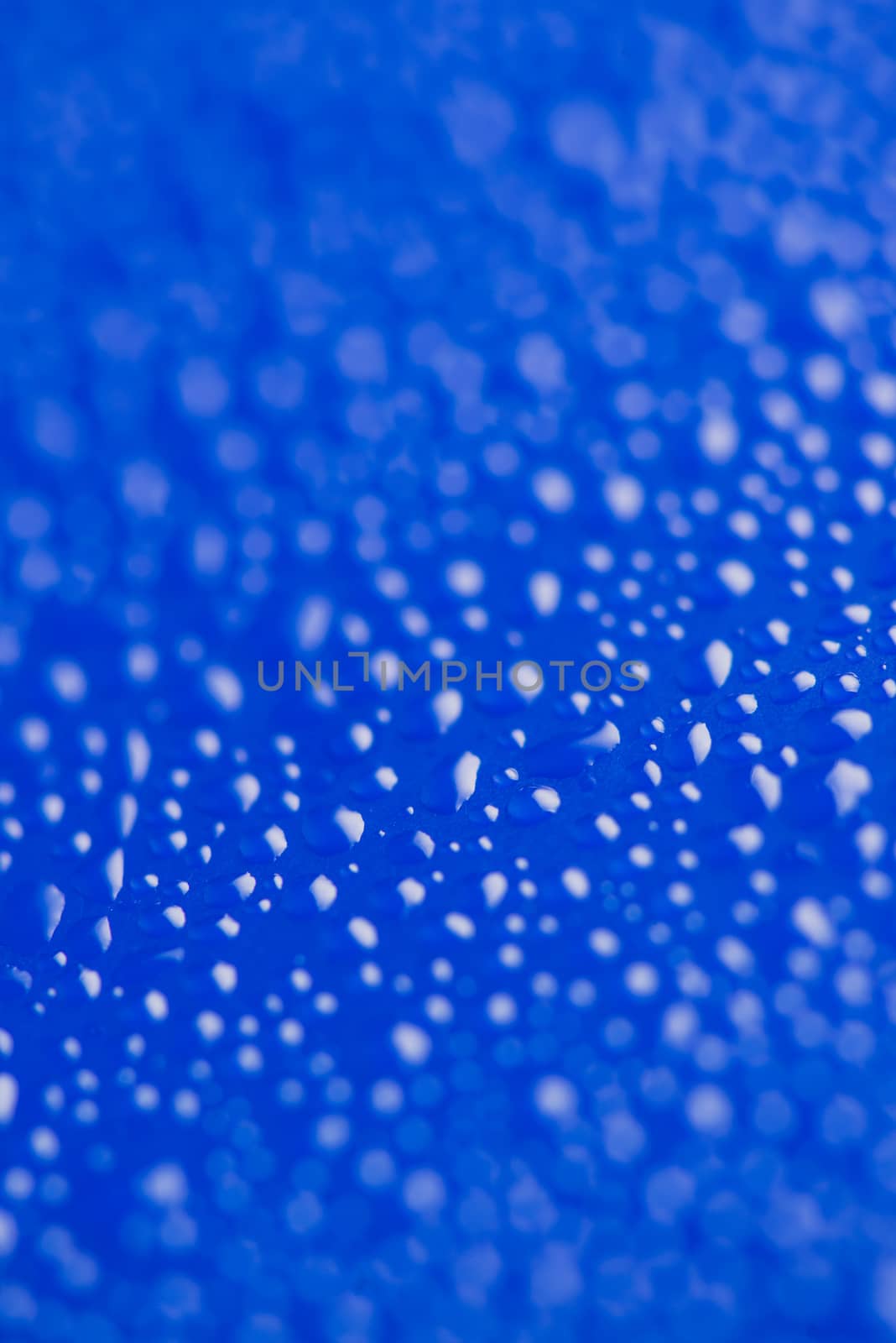 close-up of water drops on the blue background.