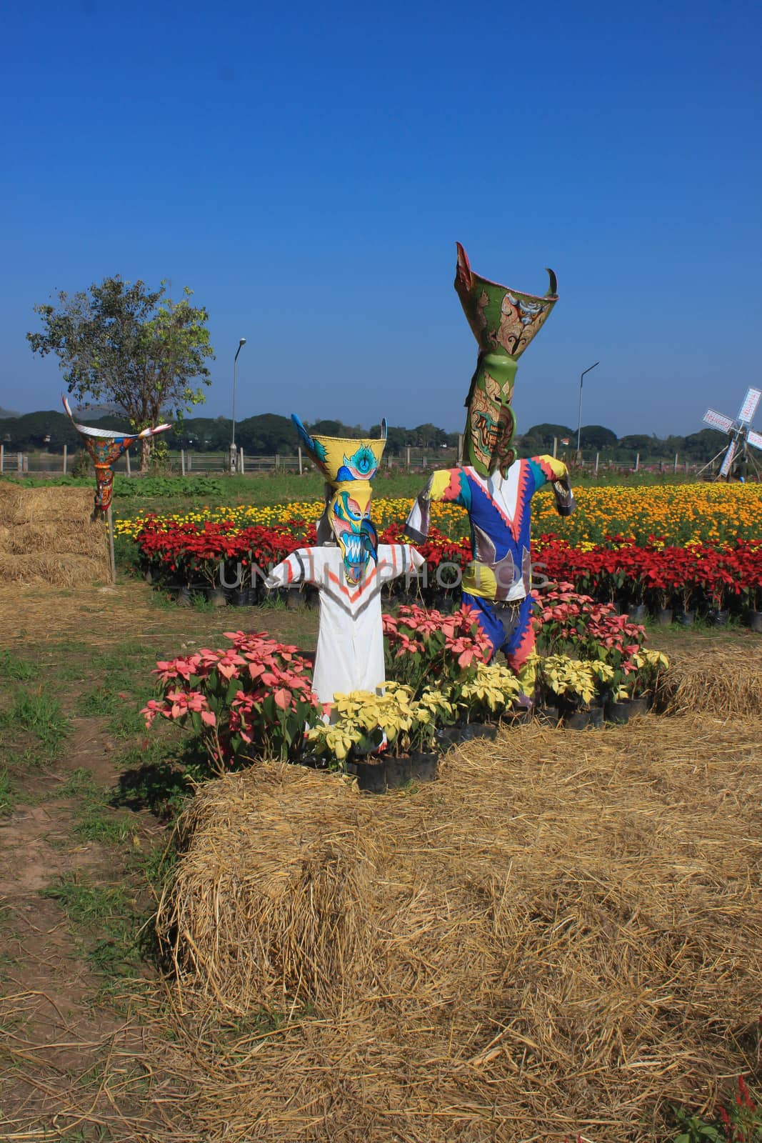 Robot Ghost Dance is a symbol of Sakon Nakhon and fields of mari by primzrider