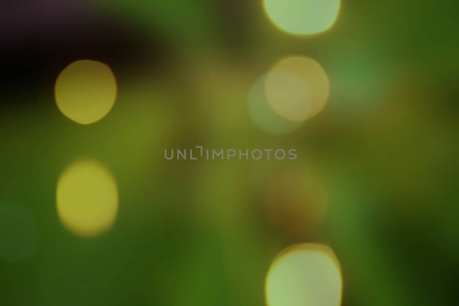 Light green bokeh background