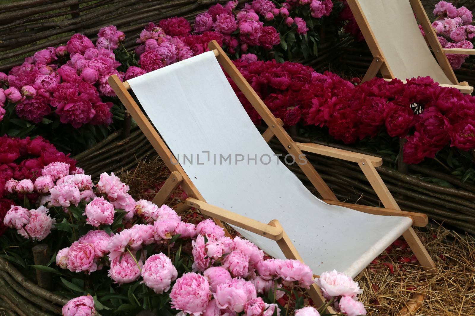 Flowers exposed on Floraart, 49 international garden exhibition in Zagreb, Croatia, on May 30, 2014.