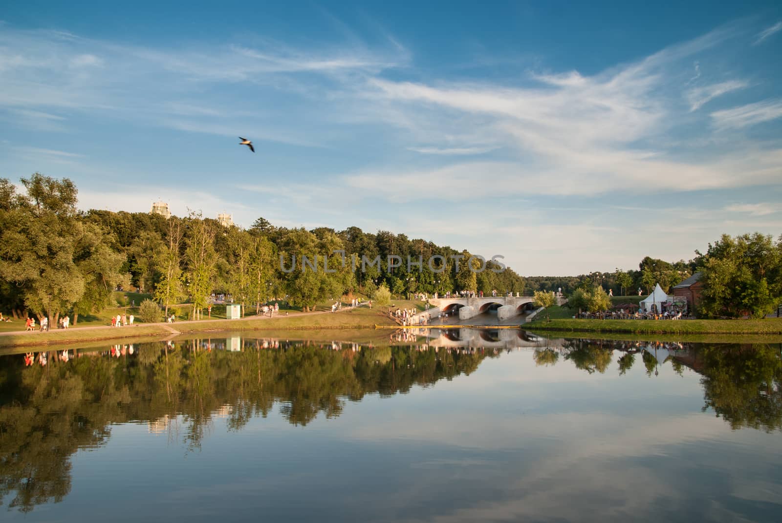 Beautiful summer lake, on  background of forest and cloudy sky. by skrotov