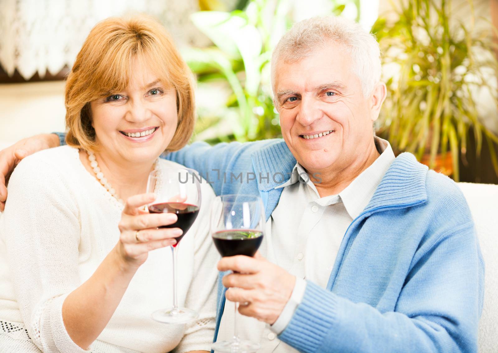 Happy senior couple toasting their anniversary with red wine at home ambient