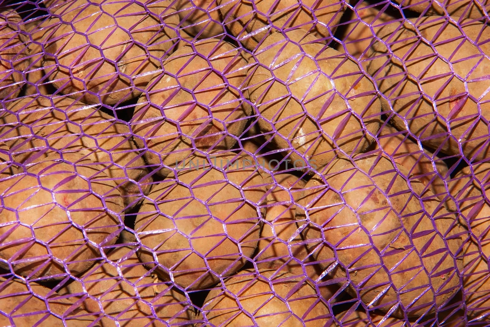 potatoes vegetables in a grid, mesh bags of potatoes in a truck, fresh raw potatoes