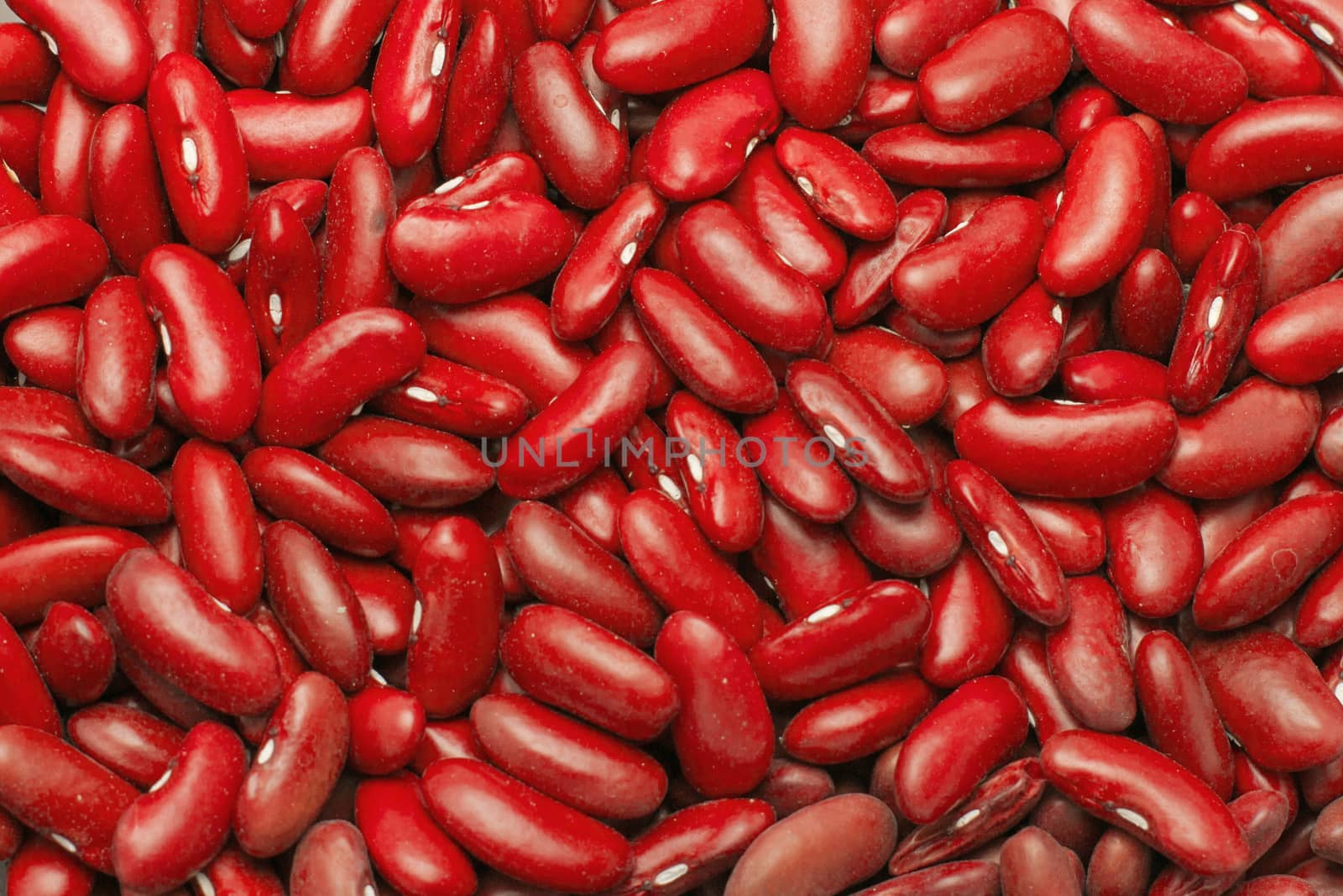 background, texture of red beans in a scattering of food  by KoliadzynskaIryna