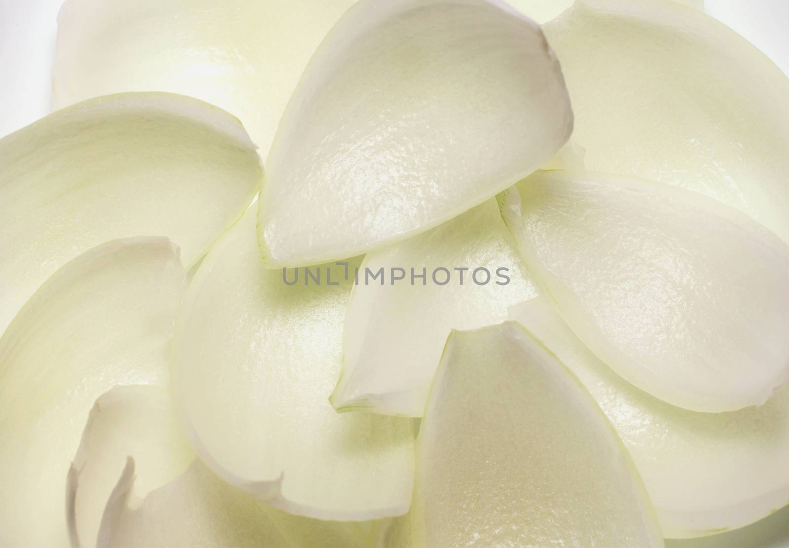 texture, background petals onion, white onion, sliced