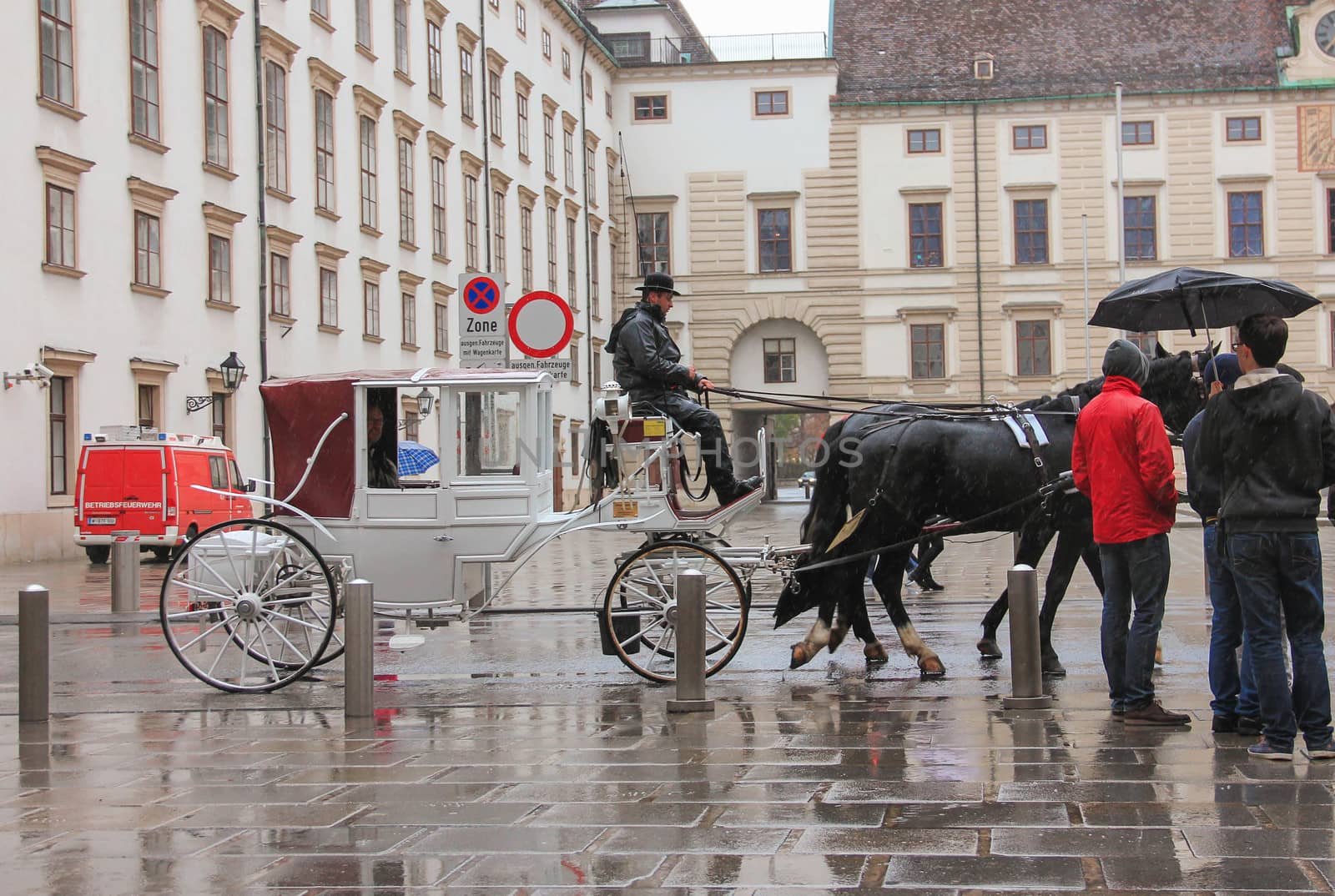 Austria Vienna coach walking horse, Hofburg Palace, the area Nov by KoliadzynskaIryna